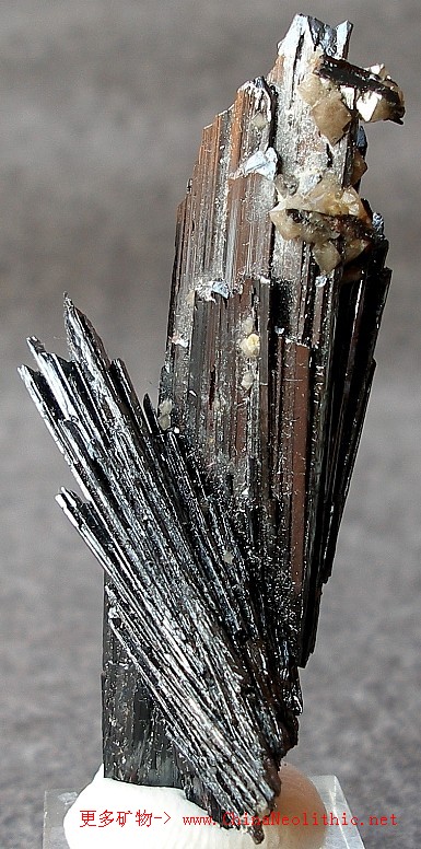 矿物图片 钨锰矿-hubnerite