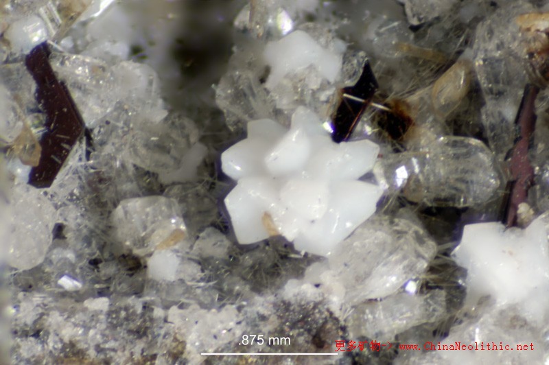 >> 矿物图片 >> 方硅石/方石英-cristobalite