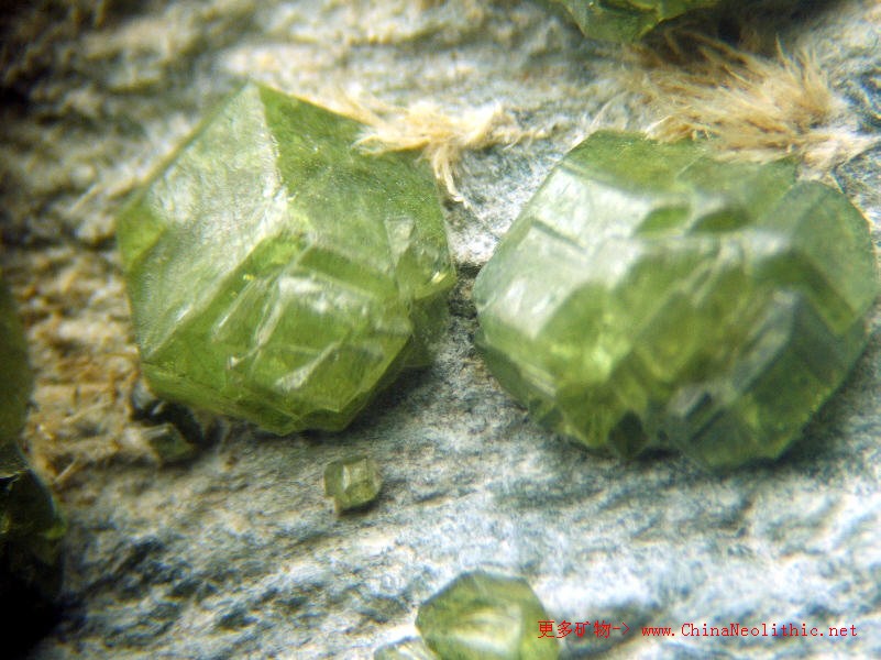 >> 矿物图片 >> 翠榴石-demantoid