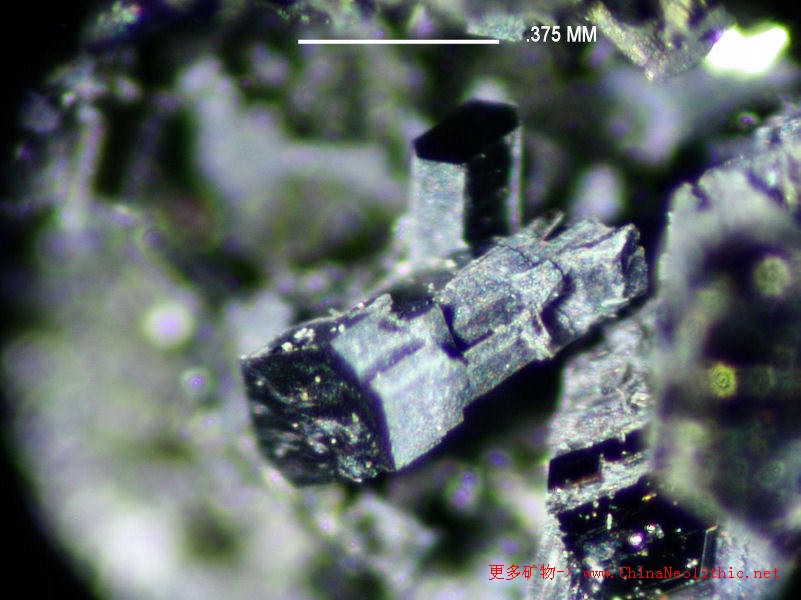 矿物图片 黑云母-biotite