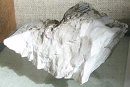 白硼钙石