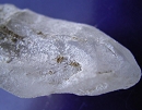斜碳钠钙石