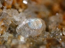 磷灰石5799