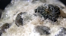 钙镁橄榄石1913