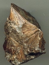 红硅钙锰矿7419