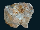钙铁辉石1729