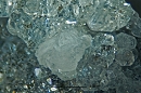 片水硅钙石8180