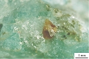 磷钪矿24