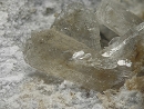 羟硅硼钙石732