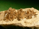 羟硅硼钙石