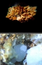 透磷钙石1110