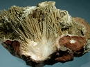 钙沸石1798
