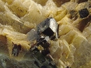 晶质铀矿1103