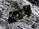 晶质铀矿1124