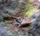 晶质铀矿1132