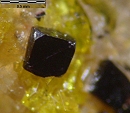 晶质铀矿1163