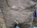 混杂陆源碎屑岩,Diamictite