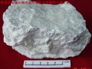 伟晶岩石英钠长石钾长石型铌钽锡矿,伟晶岩,Pegmatite