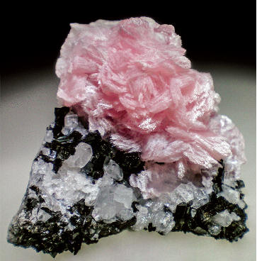 Marshallsussmanite with black aegirine　and hydroxyapophyllite, specimen 4.6　wide. J. Veevaert photo.