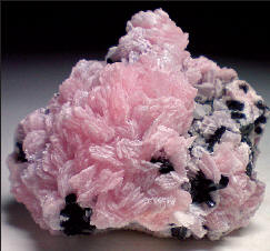 Marshallsussmanite with black aegirine,specimen 5 cm wide. J. Veevaert photo.