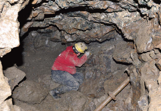 Collecting in Black Sheep Pocket in the 2010. J. Gajowniczek photo.