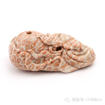 珊瑚化石—带你去新疆戈壁滩捡宝贝石头