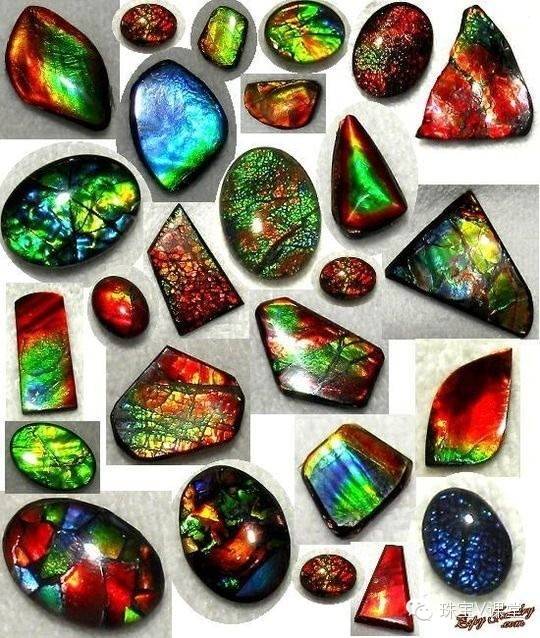 斑彩石Ammolite最具魔幻色彩的化石