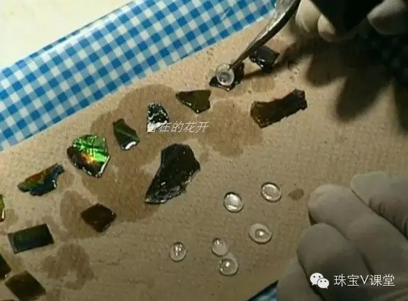 斑彩石Ammolite最具魔幻色彩的化石