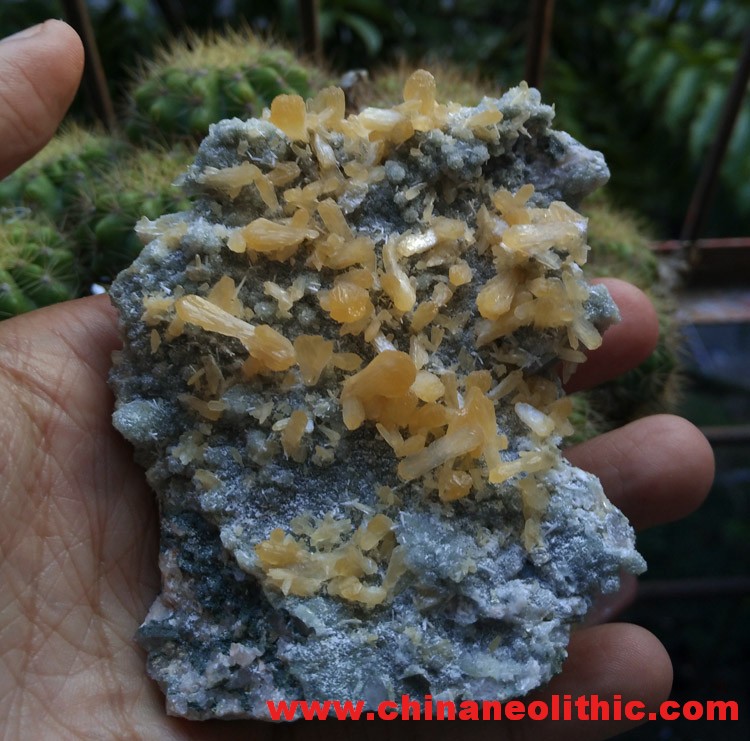 Fujian new gold yellow Stilbite,Stilbite