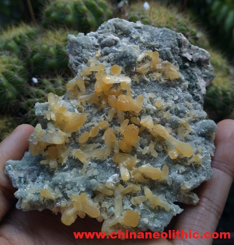 Fujian new gold yellow Stilbite,Stilbite