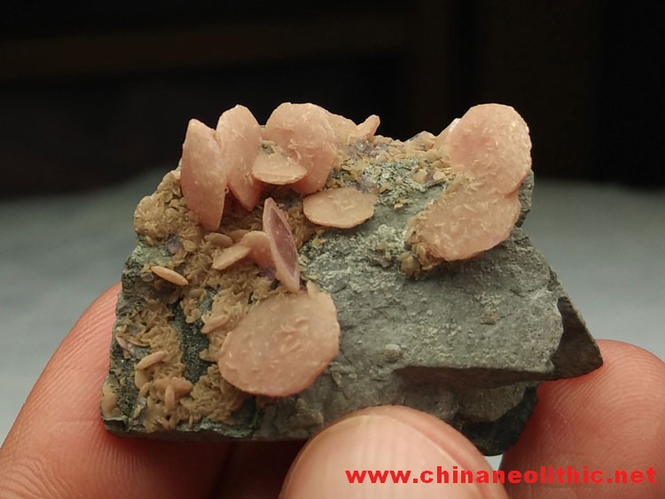典型的花瓣片状菱锰矿红纹石宝石矿物晶体标本原石原矿,菱锰矿
