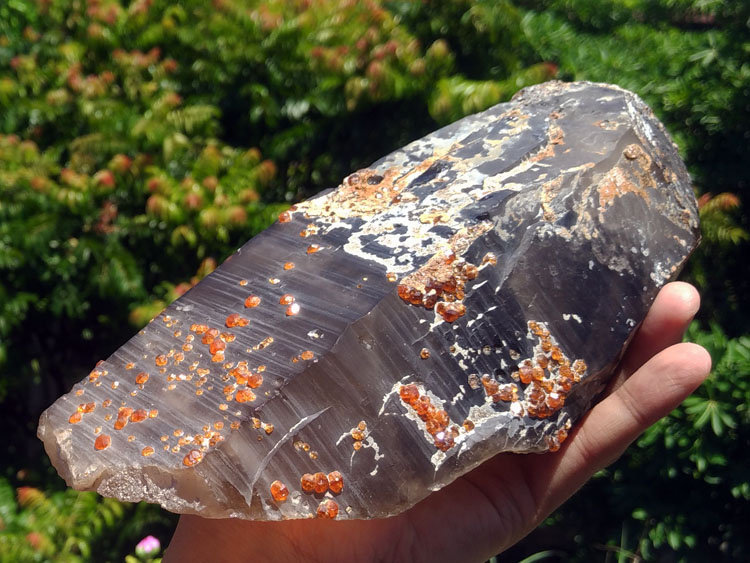 超大水晶共生锰铝石榴石芬达石矿物晶体标本宝石原石原矿茶晶,石榴石,水晶