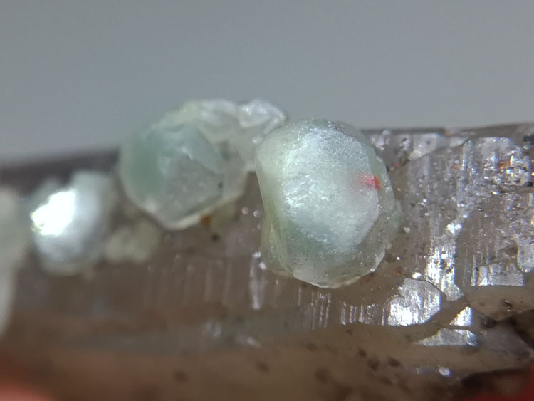 福建新出的浮生绿色晶体未知不明矿物和茶晶烟晶共生矿物晶体标本,水晶