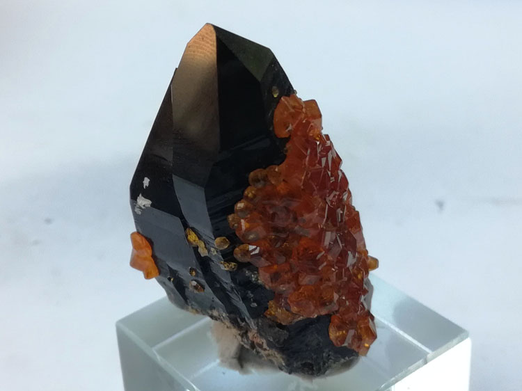 锰铝石榴石芬达石和黑水晶墨晶共生宝石矿物晶体标本原石原矿,石榴石,水晶