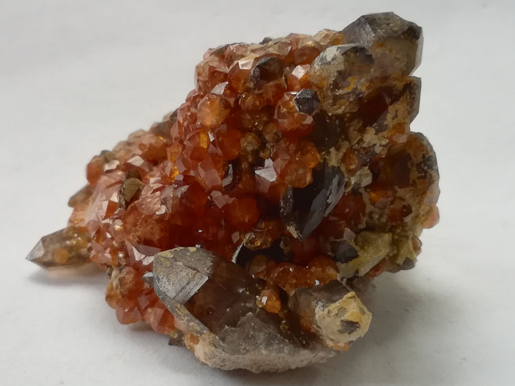 宝石级芬达石榴石锰铝榴石和茶晶烟晶共生矿物标本宝石原石原矿,石榴石,水晶