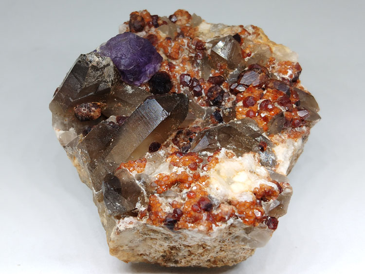 紫萤石酒红色石榴石茶色水晶烟晶共生矿物标本晶体宝石原石原矿石,石榴石,萤石,水晶