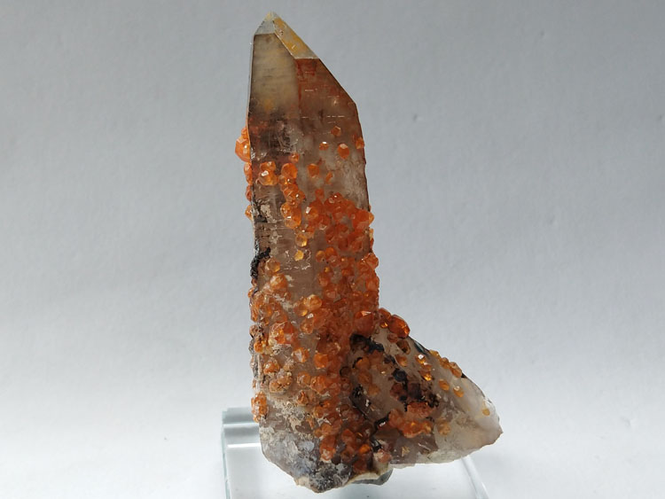 锰铝石榴石芬达石和茶色水晶烟晶共生矿物标本晶体宝石原石原矿石,石榴石,水晶