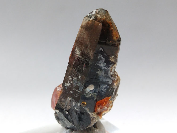 大晶体芬达石锰铝石榴石和墨晶茶晶共生矿物晶体标本宝石原石原矿,石榴石,水晶