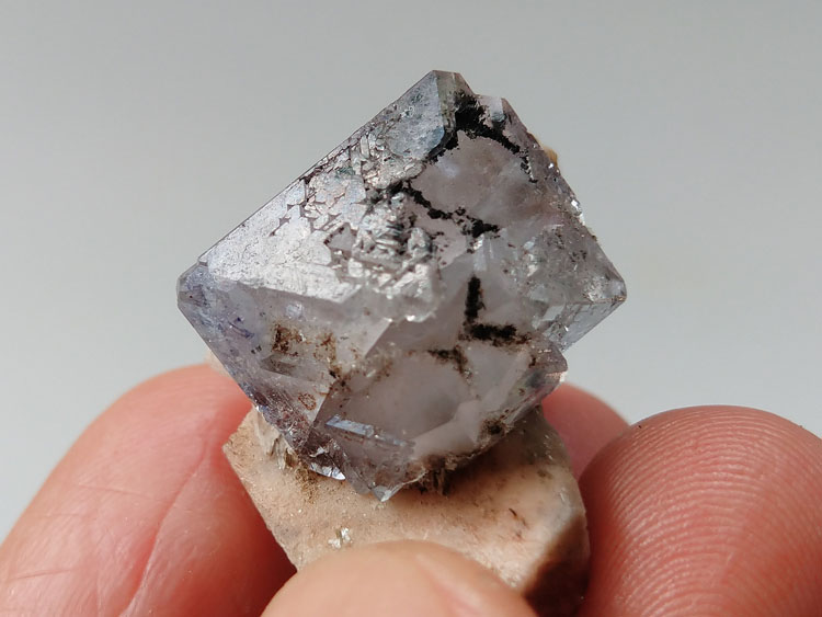 福建蓝紫色萤石方解石长石共生矿物标本晶体晶簇晶洞宝石原石原矿,萤石,方解