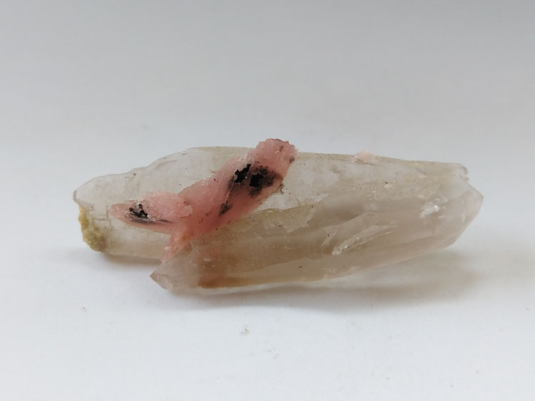 Rhodochrosite,Smoky Quartz Mineral Specimens Mineral Crystals Gem Materials,Rhodochrosite,Quartz